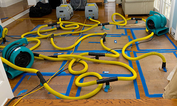 Professional Crawl Space Water Removal technician working in Hampton, NJ